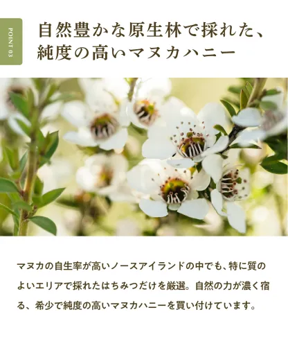 マヌカハニー UMF10+ 250g [MGO261+] はちみつ  ハニーマザー UMF協会認定 ニュージーランド 無添加 喉 痛み ケア 抗菌力 美容 非加熱 ダイエット 腸活 蜂蜜 100％ ；