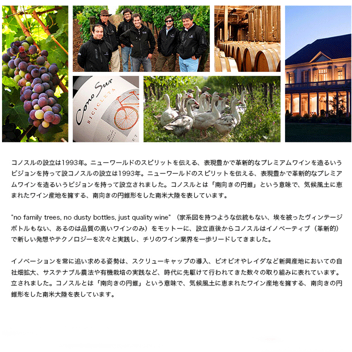 【一部地域送料無料】 組み合わせ自由 コノスル ビシクレタ レゼルバ 10本 ワインセット チリ 750ml 選べる 赤 白 ロゼ 飲み比べ 赤白ワインセット 紅白 コノスルセット ハウスワインセット 晩酌セット デイリーワイン 詰め合わせ まとめ買い ストック おいしいワイン