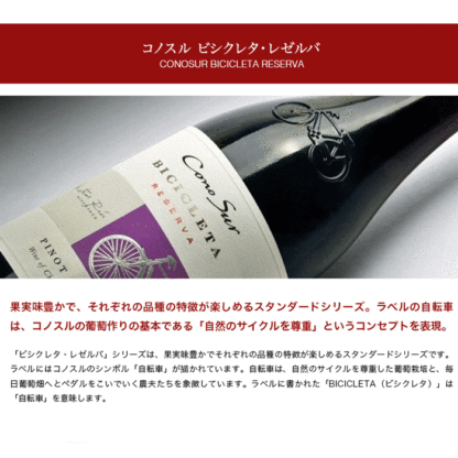 【一部地域送料無料】 組み合わせ自由 コノスル ビシクレタ レゼルバ 10本 ワインセット チリ 750ml 選べる 赤 白 ロゼ 飲み比べ 赤白ワインセット 紅白 コノスルセット ハウスワインセット 晩酌セット デイリーワイン 詰め合わせ まとめ買い ストック おいしいワイン