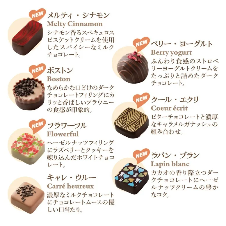 最優秀賞レシピから創る絶品 デジレー ショコラ＆トリュフ30個入 【特典】本商品ご購入でミニチョコBOX3箱プレゼント バレンタイン 2026 バレンタインチョコ チョコレートギフト バレンタインデー バレンタインチョコ 詰め合わせ