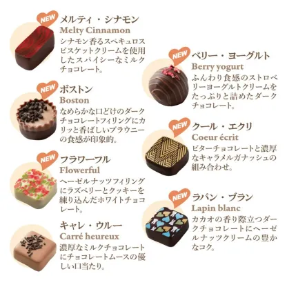 最優秀賞レシピから創る絶品 デジレー ショコラ＆トリュフ30個入 【特典】本商品ご購入でミニチョコBOX3箱プレゼント バレンタイン 2026 バレンタインチョコ チョコレートギフト バレンタインデー バレンタインチョコ 詰め合わせ