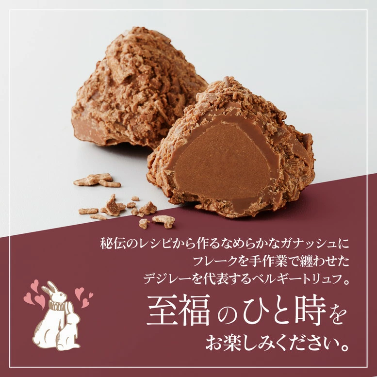 最優秀賞レシピから創る絶品 デジレー ショコラ＆トリュフ30個入 【特典】本商品ご購入でミニチョコBOX3箱プレゼント バレンタイン 2026 バレンタインチョコ チョコレートギフト バレンタインデー バレンタインチョコ 詰め合わせ