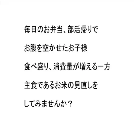 生活応援米 エース 米 30kg 【7.5kg×4袋】ブレンド米 主要産地宮城県 エース 激安米 米 30kg  白米 精米 お米 30kg 米30kg 白米30kg 精米30kg あじつかみ 業務用 複数原料米
