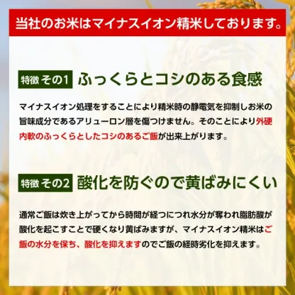 令和7年産 山形県産 はえぬき 白米10kg×2袋