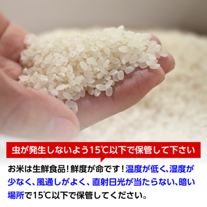 令和7年産 山形県産 はえぬき 白米10kg×2袋