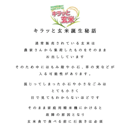 会津産ひとめぼれ玄米 30kg(30kg×1袋) 令和7年産 福島県産 玄米 30kg 米 30kg お米 30kg キラッと玄米