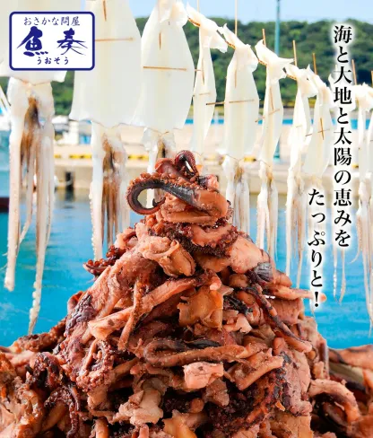 晩酌プレミアムおつまみ5種セット｜北海道産ほたて・燻製ゲソ・子持ちししゃも・サーモンチーズ・小魚アーモンド 豪華詰め合わせ