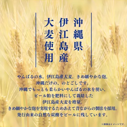 【ふるさと納税】オリオン ザ・ドラフト＜350ml×24缶＞-オリオン ビール 1ケース 350ml 24本 すっきり 飲みやすい こだわり 改良 リニューアル おすすめ 24缶 オリオンビール 地ビール 生ビール 家飲み お家居酒屋 晩酌 お家時間 うまみ 旨味 味わい 贅沢 沖縄時間 お花見 BBQ バーベキュー おすすめ アルコール分 5％ 人気 クリスマス 贈り物 ギフト プレゼント 手土産 母の日 父の日 オリオンザドラフト 送料無料 沖縄県 八重瀬町