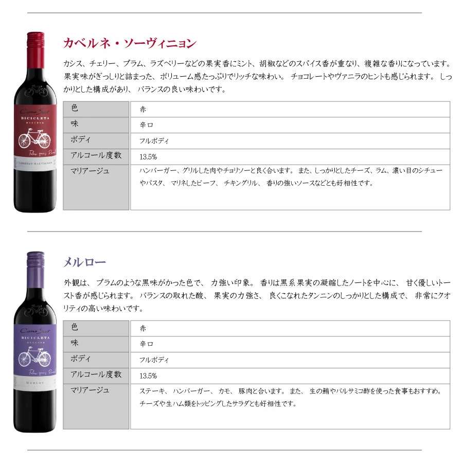 【一部地域送料無料】 組み合わせ自由 コノスル ビシクレタ レゼルバ 10本 ワインセット チリ 750ml 選べる 赤 白 ロゼ 飲み比べ 赤白ワインセット 紅白 コノスルセット ハウスワインセット 晩酌セット デイリーワイン 詰め合わせ まとめ買い ストック おいしいワイン