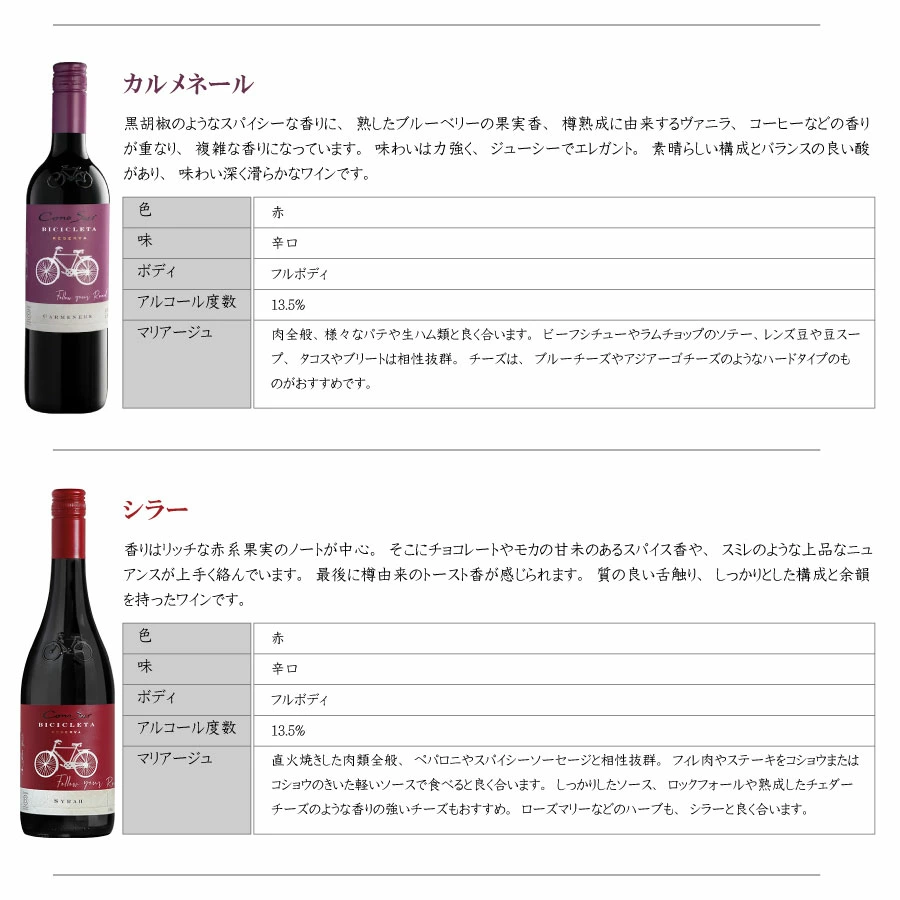 【一部地域送料無料】 組み合わせ自由 コノスル ビシクレタ レゼルバ 10本 ワインセット チリ 750ml 選べる 赤 白 ロゼ 飲み比べ 赤白ワインセット 紅白 コノスルセット ハウスワインセット 晩酌セット デイリーワイン 詰め合わせ まとめ買い ストック おいしいワイン