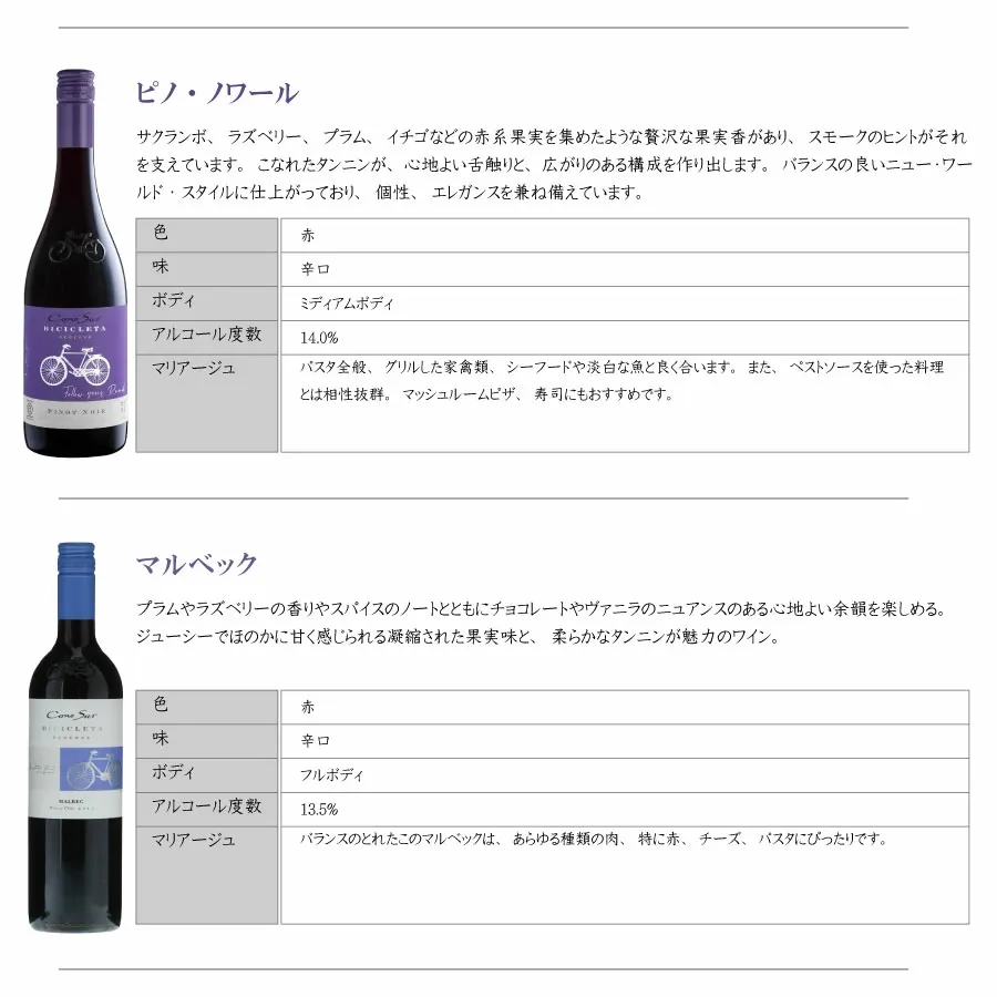 【一部地域送料無料】 組み合わせ自由 コノスル ビシクレタ レゼルバ 10本 ワインセット チリ 750ml 選べる 赤 白 ロゼ 飲み比べ 赤白ワインセット 紅白 コノスルセット ハウスワインセット 晩酌セット デイリーワイン 詰め合わせ まとめ買い ストック おいしいワイン