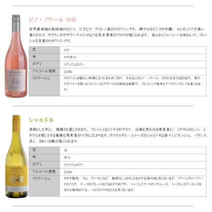 【一部地域送料無料】 組み合わせ自由 コノスル ビシクレタ レゼルバ 10本 ワインセット チリ 750ml 選べる 赤 白 ロゼ 飲み比べ 赤白ワインセット 紅白 コノスルセット ハウスワインセット 晩酌セット デイリーワイン 詰め合わせ まとめ買い ストック おいしいワイン