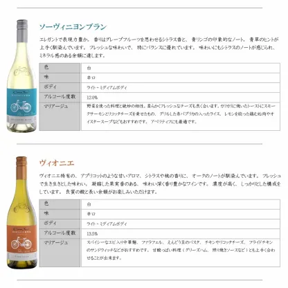 【一部地域送料無料】 組み合わせ自由 コノスル ビシクレタ レゼルバ 10本 ワインセット チリ 750ml 選べる 赤 白 ロゼ 飲み比べ 赤白ワインセット 紅白 コノスルセット ハウスワインセット 晩酌セット デイリーワイン 詰め合わせ まとめ買い ストック おいしいワイン