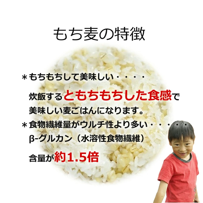 九州産 もち麦450g x 20袋 チャック付き