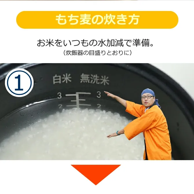 九州産 もち麦450g x 20袋 チャック付き