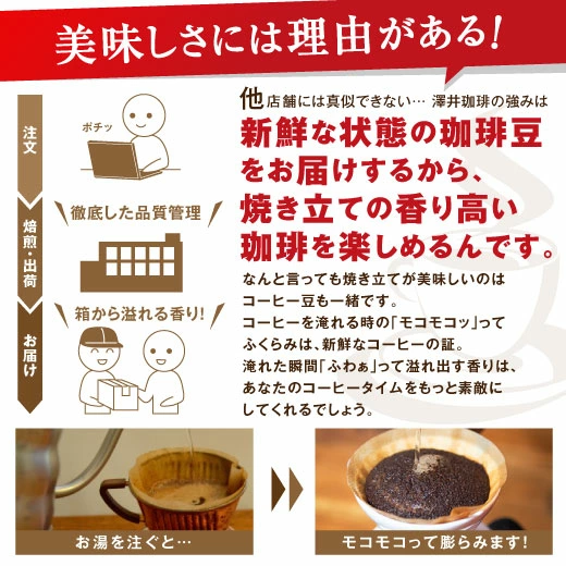 送料無料 コーヒー コーヒー豆 コーヒー粉 珈琲豆 豆のまま "グルメ大賞9度受賞の1番選ばれるコーヒーセット" 澤井珈琲 3kg 抱えきれないコーヒー福袋 フォルティシモ ビクトリー【RD】【TS】