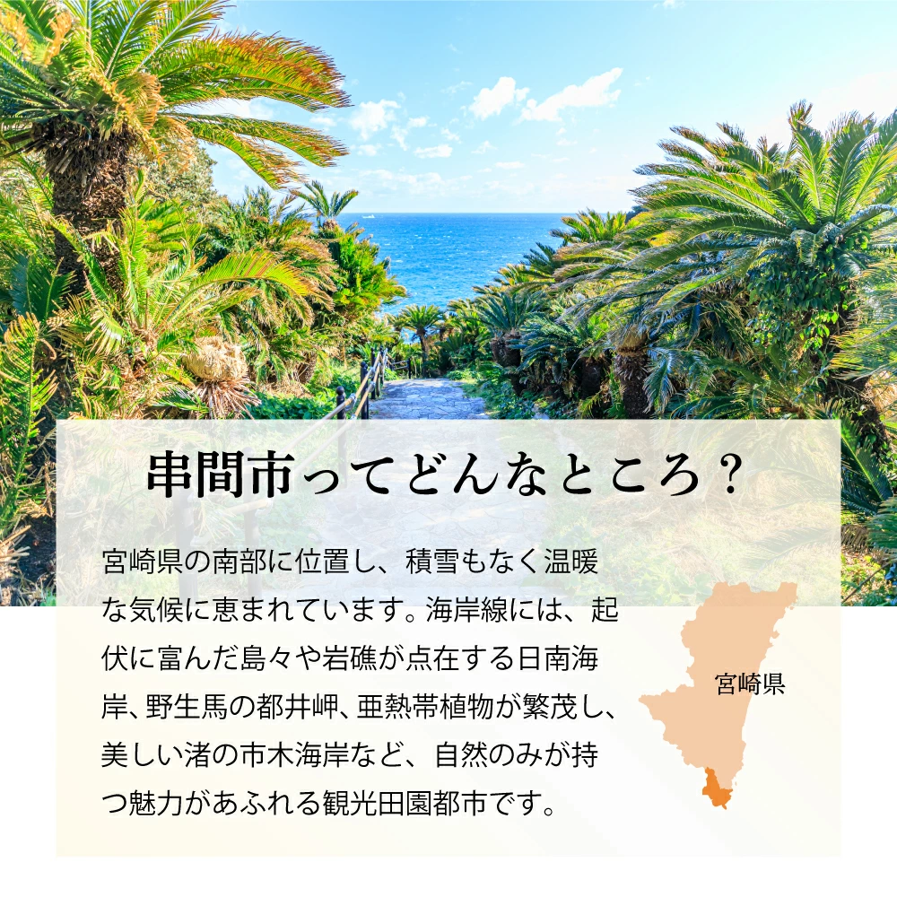 【ふるさと納税】【部位&発送月&容量&回数が選べる！】＜数量限定＞小分け＆バラバラ！ 宮崎県産 鶏ももor むね肉 or セット カット 1.5kg ～ 27kg 瞬間凍結製法で鮮度そのままお届け！ 小分け バラ凍結 鶏肉 鳥肉 便利な小分けタイプ 定期便 3ヶ月 6ヶ月 9ヶ月