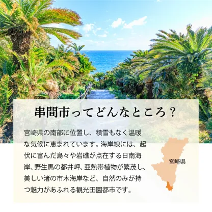 【ふるさと納税】【部位&発送月&容量&回数が選べる！】＜数量限定＞小分け＆バラバラ！ 宮崎県産 鶏ももor むね肉 or セット カット 1.5kg ～ 27kg 瞬間凍結製法で鮮度そのままお届け！ 小分け バラ凍結 鶏肉 鳥肉 便利な小分けタイプ 定期便 3ヶ月 6ヶ月 9ヶ月