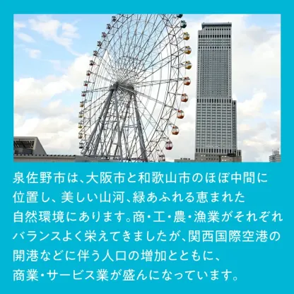 【ふるさと納税】最短翌日発送 ★高評価 4.81 ビール よなよなエール 5営業日 350ml 選べる 本数 定期便 缶 ヤッホーブルーイング クラフトビール ペールエール 酒 アルコール 飲料 ふるさと納税オリジナル 1位獲得 満足度98％以上 泉佐野市 送料無料 圧倒的企業努力