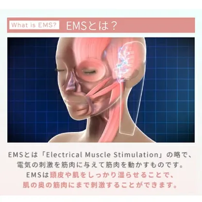 美顔器 ブラシ 頭皮 【ヤーマン公式】《ミーゼ スカルプリフト アクティブ プラス MS82G 》リフトケア スカルプ 頭筋 表情筋 EMS マイクロカレント 振動 LED フェイス 首 デコルテ 防水 お風呂 プレゼント ギフト 女性