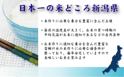 令和7年産 無洗米 新潟県産 コシヒカリ10kg 5kg×2袋 お米マイスター厳選 HACCP認定工場 Shop Of The Year 米大賞