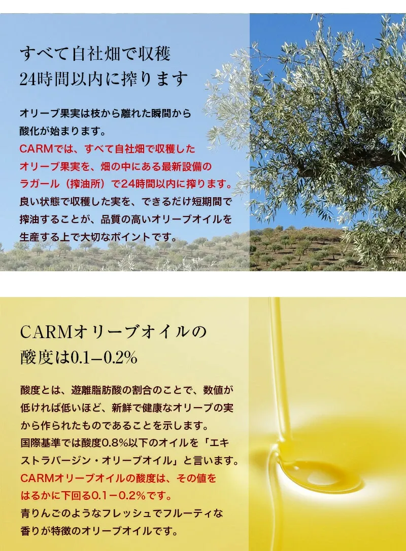 CARMプレミアム エキストラバージン オリーブオイル 500ml / 賞味期限2026年12月 / コールドプレス 酸度0.1-0.2％ ポルトガル産 原産地呼称 DOPトラズ・オス・モンテス