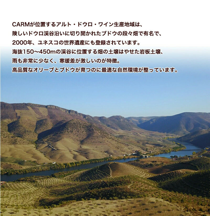 CARMプレミアム エキストラバージン オリーブオイル 500ml / 賞味期限2026年12月 / コールドプレス 酸度0.1-0.2％ ポルトガル産 原産地呼称 DOPトラズ・オス・モンテス