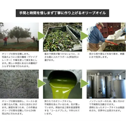 CARMプレミアム エキストラバージン オリーブオイル 500ml / 賞味期限2026年12月 / コールドプレス 酸度0.1-0.2％ ポルトガル産 原産地呼称 DOPトラズ・オス・モンテス