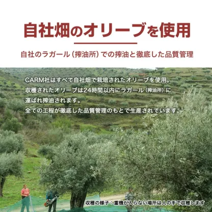 CARMプレミアム エキストラバージン オリーブオイル 500ml / 賞味期限2026年12月 / コールドプレス 酸度0.1-0.2％ ポルトガル産 原産地呼称 DOPトラズ・オス・モンテス