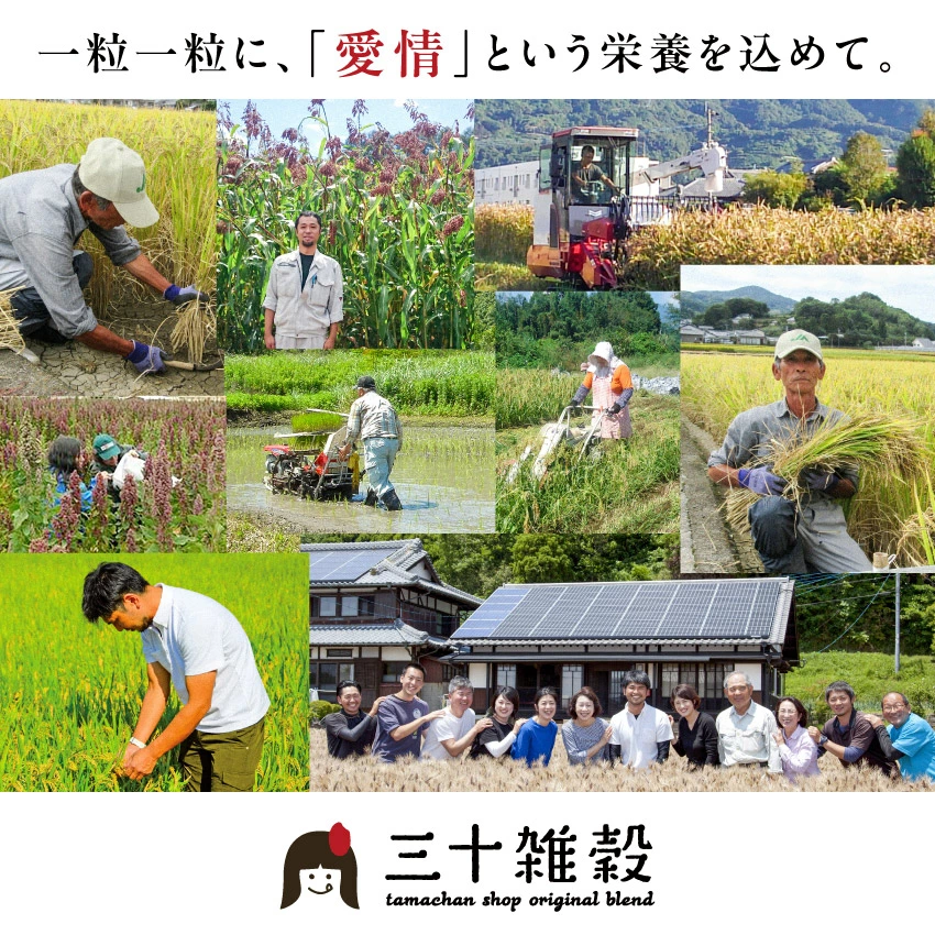 2025楽天年間ランキング＆2024グルメ大賞受賞！＼レビュー高評価4.49／ ＼選ばれて満足度No.1／ 国産 雑穀米「三十雑穀」タマチャンショップの30雑穀米