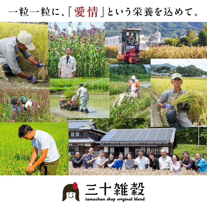 2025楽天年間ランキング＆2024グルメ大賞受賞！＼レビュー高評価4.49／ ＼選ばれて満足度No.1／ 国産 雑穀米「三十雑穀」タマチャンショップの30雑穀米