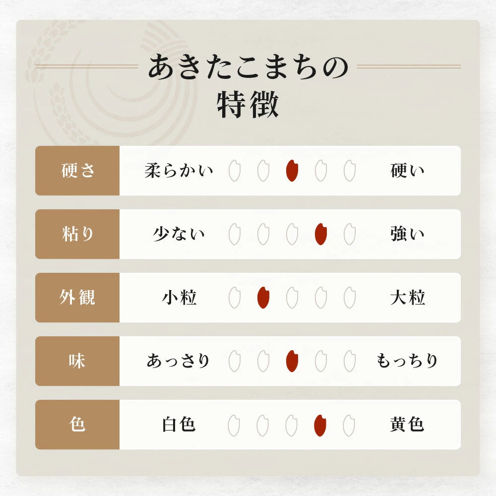 令和7年産 秋田県産 あきたこまち 20kg 白米 精米 お米【送料無料】
