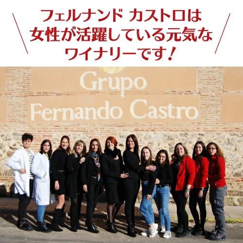 【480円クーポンでボトル換算424円 送料無料】 箱ワイン バルデモンテ レッド3L×4箱 ケース(4箱入) 箱ワイン 赤 箱ワイン 3L ワイン ワインセット 赤ワイン 赤ワインセット ボックスワイン 赤 3l 長S 送料無料 【ポイント対象外】