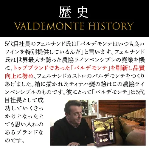 【480円クーポンでボトル換算424円 送料無料】 箱ワイン バルデモンテ レッド3L×4箱 ケース(4箱入) 箱ワイン 赤 箱ワイン 3L ワイン ワインセット 赤ワイン 赤ワインセット ボックスワイン 赤 3l 長S 送料無料 【ポイント対象外】