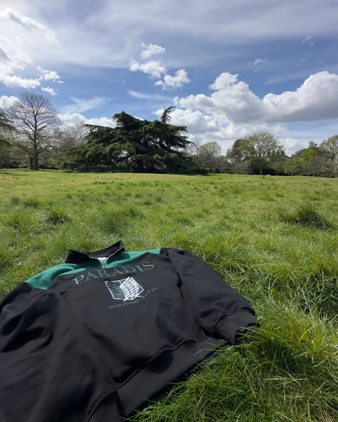 Wings of Freedom Quarter-Zip - AOT