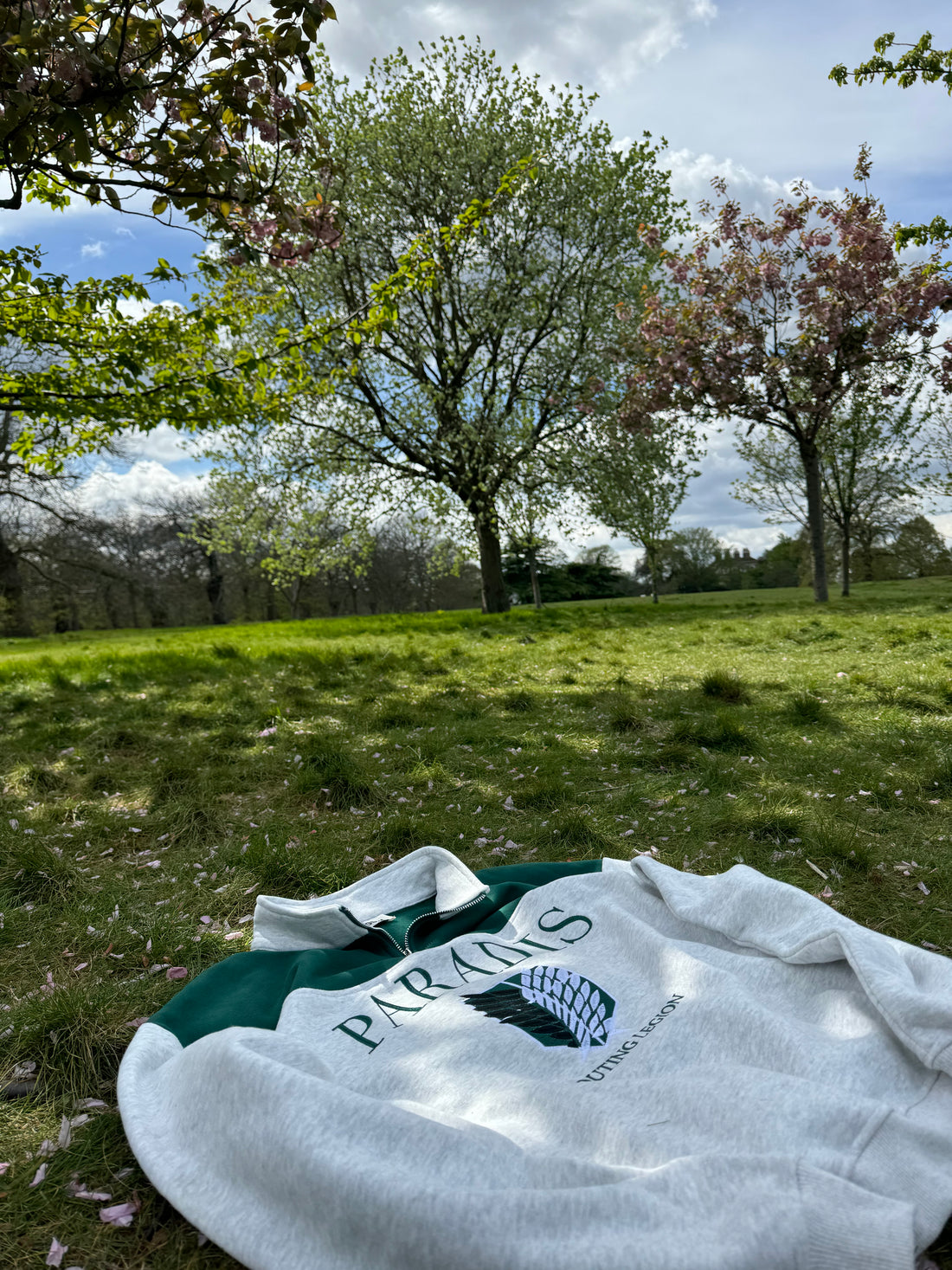 Wings of Freedom Quarter-Zip - AOT
