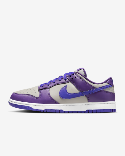 Nithtke Dunk Low Retro