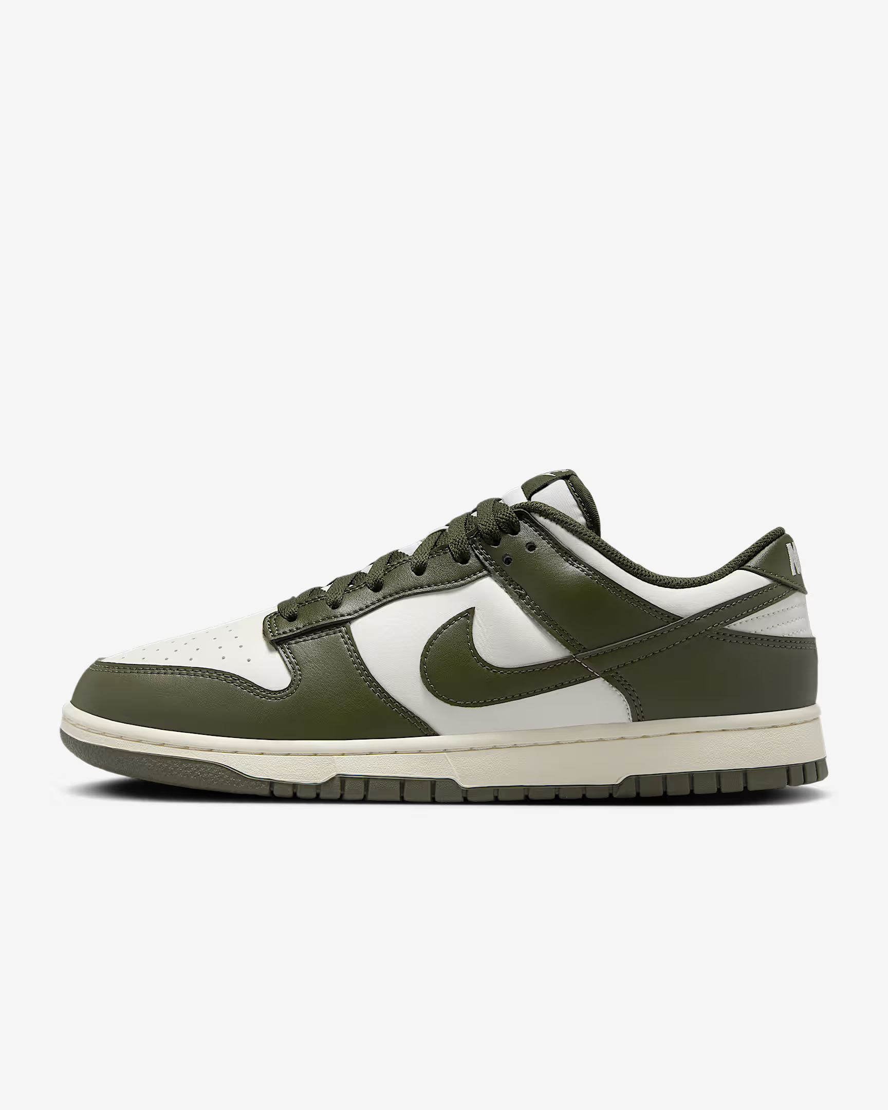 Nithtke Dunk Low Retro