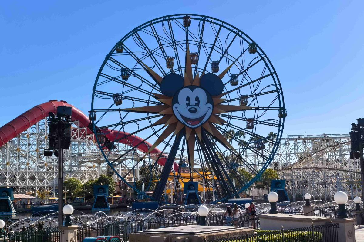 3-Day DISthtNEYLAND Resort PARK HOPPER Ticket | Valentines Day Gift For Her / For Him