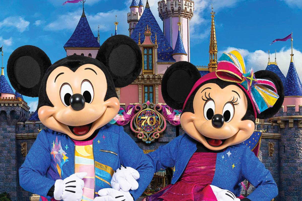 3-Day DISthtNEYLAND Resort PARK HOPPER Ticket | Valentines Day Gift For Her / For Him