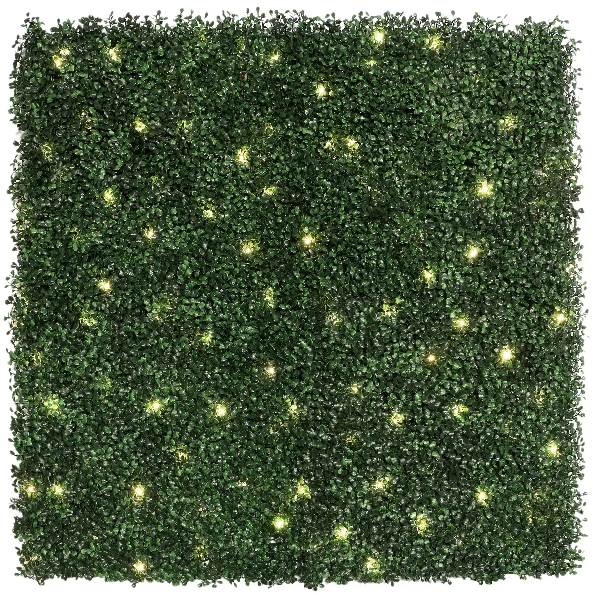 golden select boxwood hedge panel with led lights
