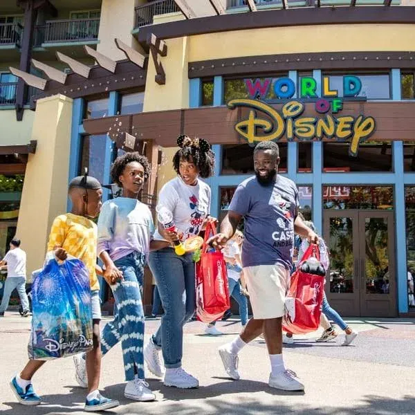 3-Day DISthtNEYLAND Resort PARK HOPPER Ticket | Valentines Day Gift For Her / For Him