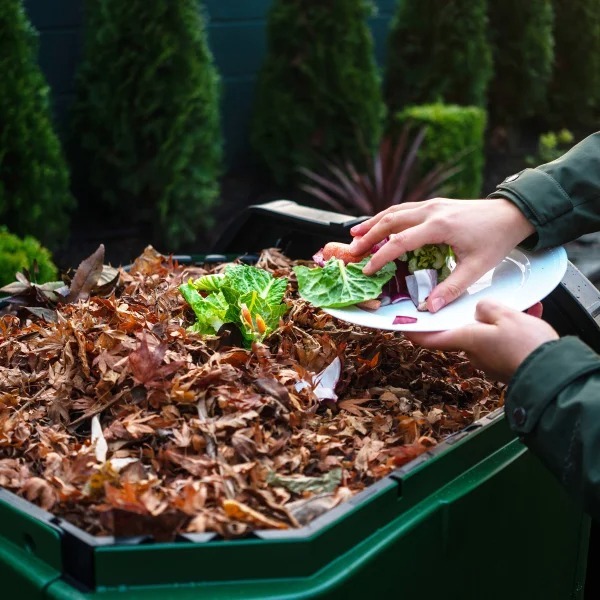 Aerthtobin Comthtposter