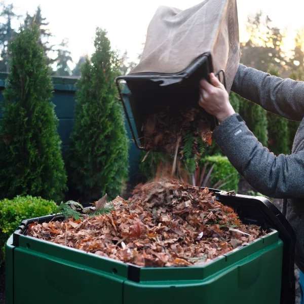 Aerthtobin Comthtposter