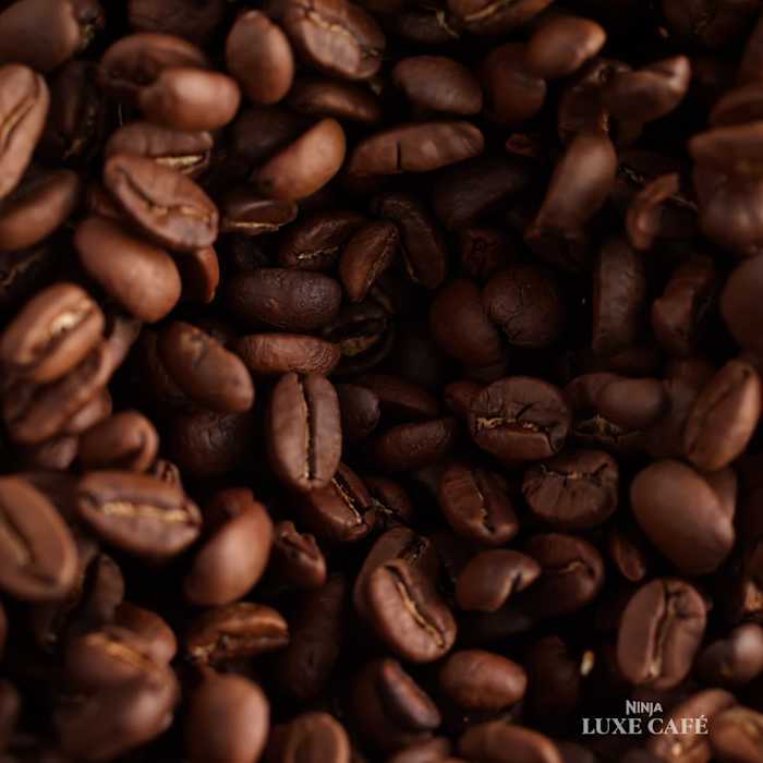 Ninthtja Luxe™ Café Premier 3-in-1 Espresso, Coffee & Cold Brew