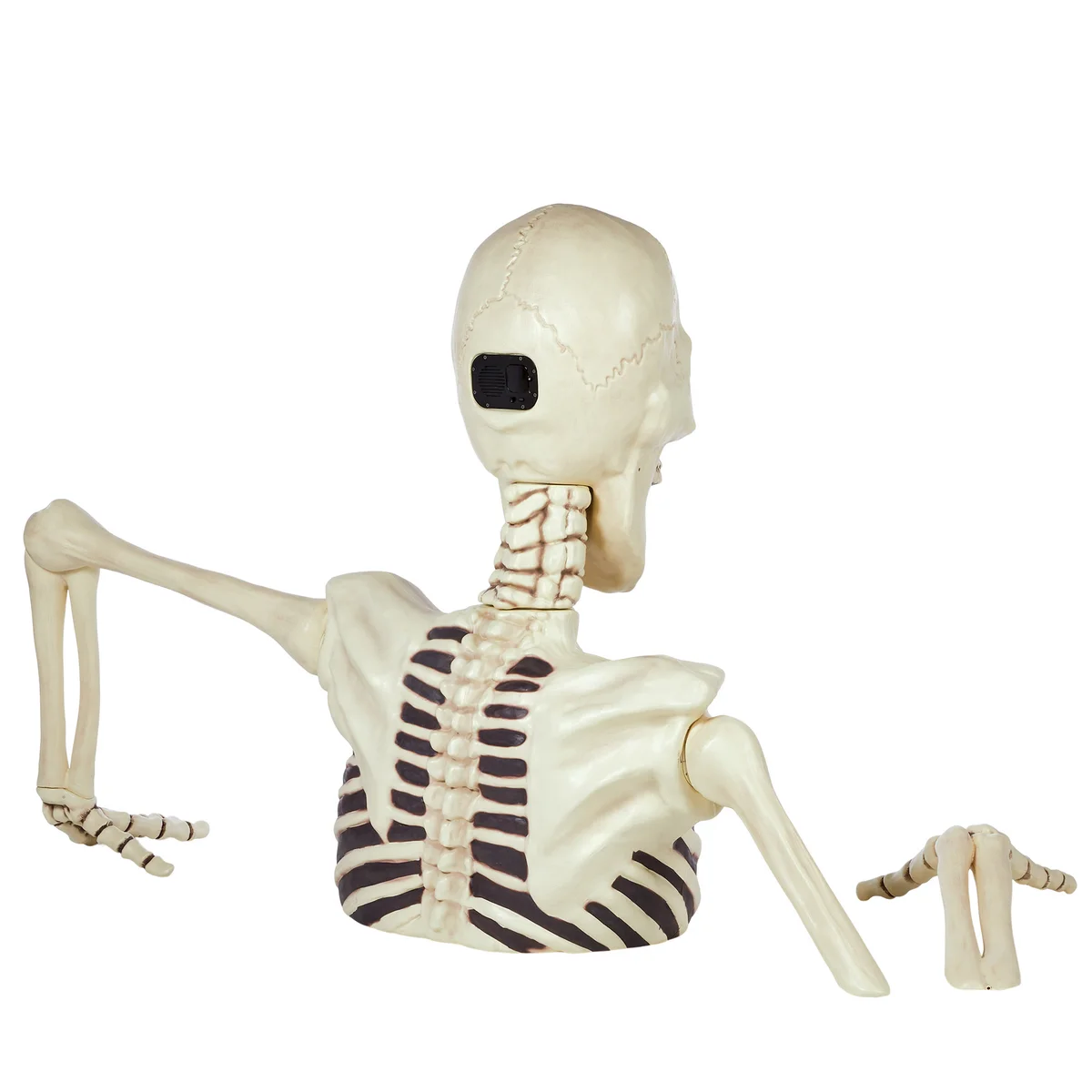 Giant Ground Breaking Skeleton