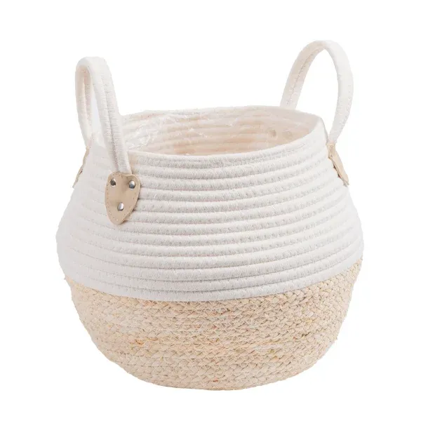 Costhtta Farms Money Tree, Houseplant in Decor Basket