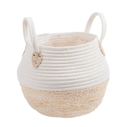 Costhtta Farms Money Tree, Houseplant in Decor Basket