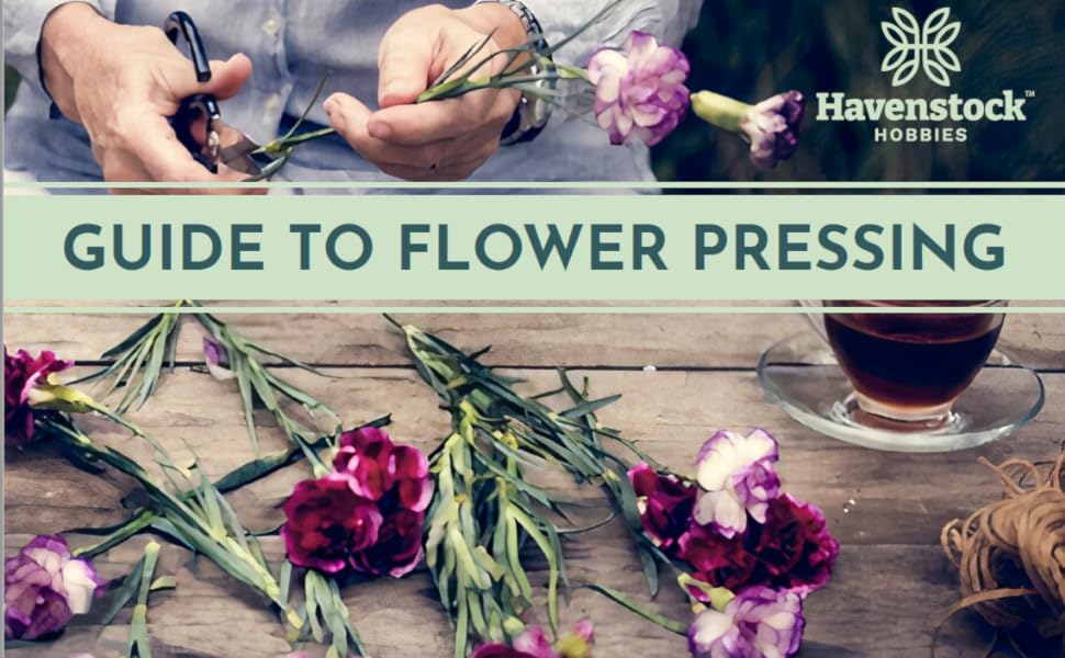 flower pressing kit, adults arts and crafts ebook