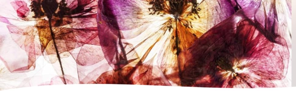 flower press, dried flowers, flower pressing kit, arts and crafts for adults